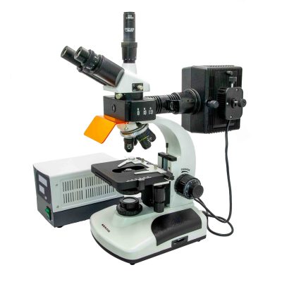 saxon Fluorescent Biological Microscope 40x-1600x - Image 3